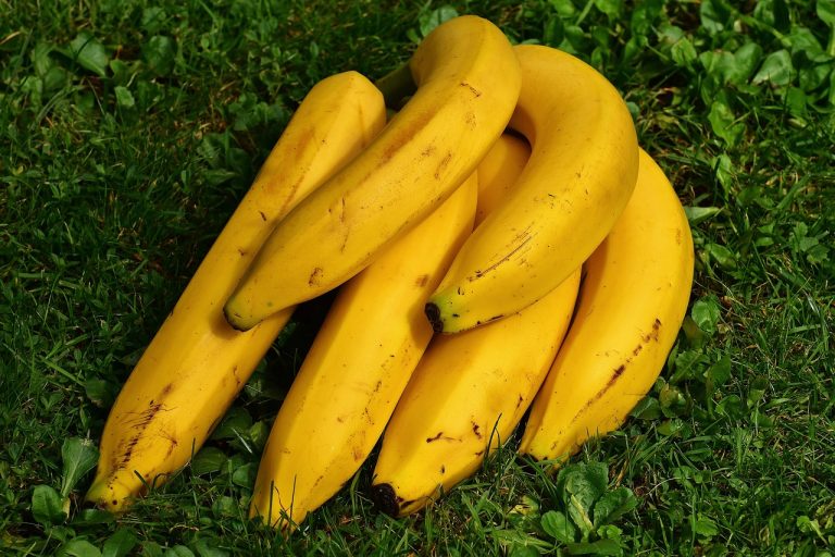 Best Health Benefits of Bananas
