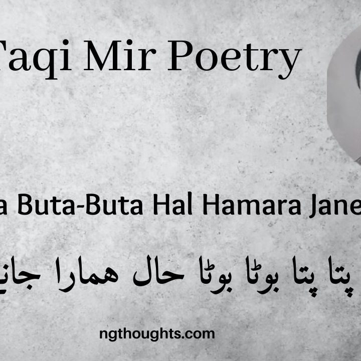 Pata-Pata Buta-Buta Hal Hamara Jane Hai - Mir Taqi Mir Poetry
