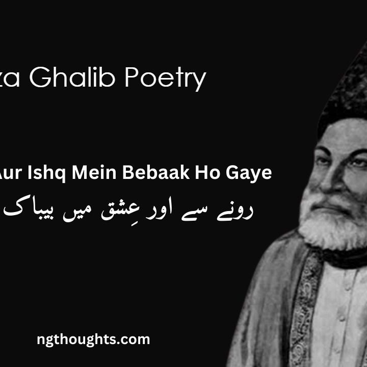 Rone Se Aur Ishq Mein Bebaak Ho Gaye - Mirza Ghalib Poetry