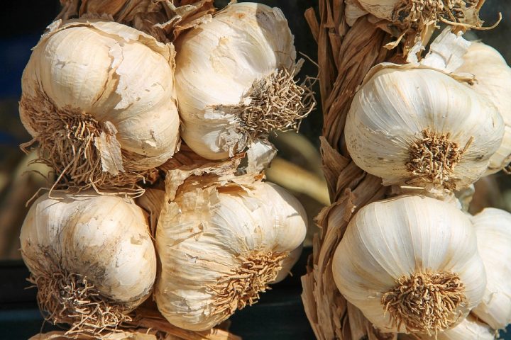 Amazing Health Benefits of Garlic