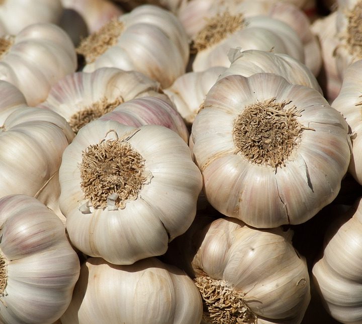 Amazing Health Benefits of Garlic