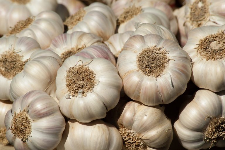 Amazing Health Benefits of Garlic