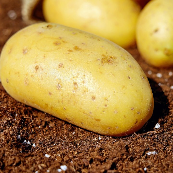 Best Health Benefits of Potatoes
