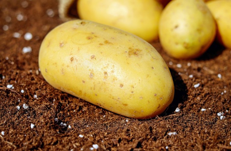 Best Health Benefits of Potatoes