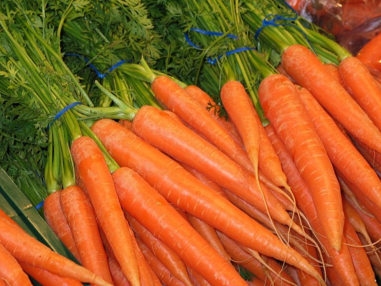 Most Amazing Health Benefits of Carrots